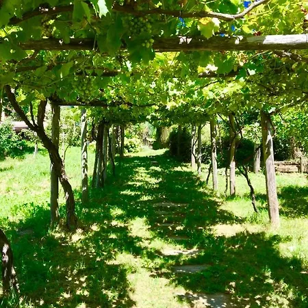 Casa vacanze La Casa Delle Rondini