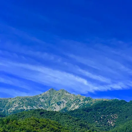 La Casa Delle Rondini Casa vacanze Lurisia