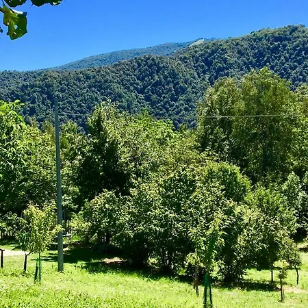 La Casa Delle Rondini *